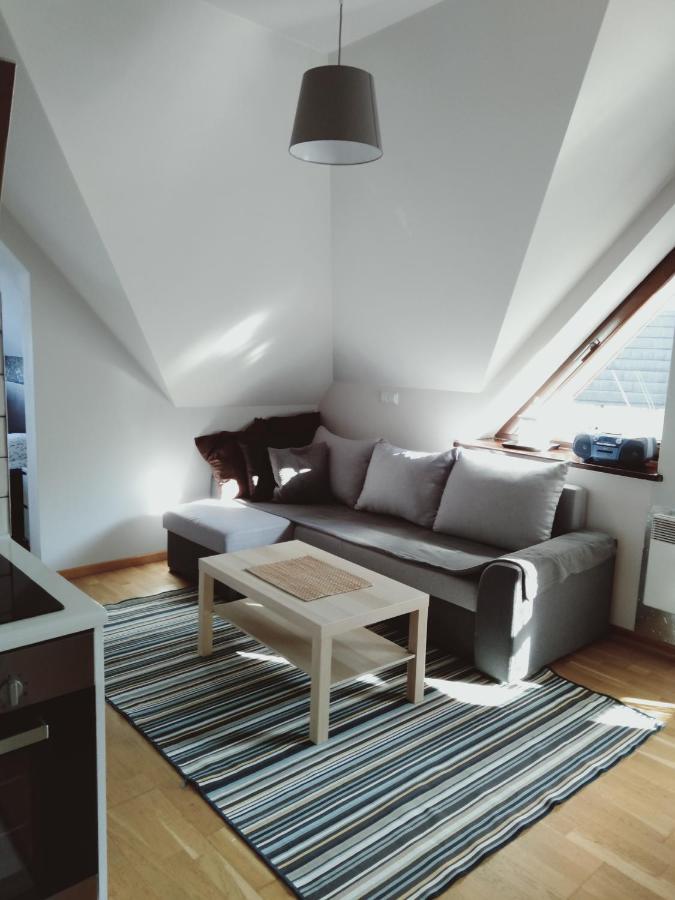 Apartament Kasprowy Jaszczurowka Zakopane Ngoại thất bức ảnh